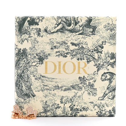 Christian Dior Crystal Diorable Lion Logo Earrings Gold 5 of 5