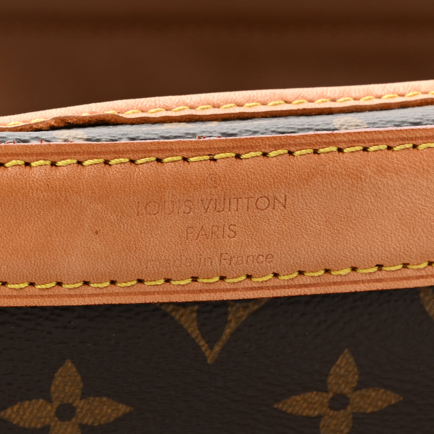 Louis Vuitton Monogram Sac Chien 40 Pet Carrier 6 of 25