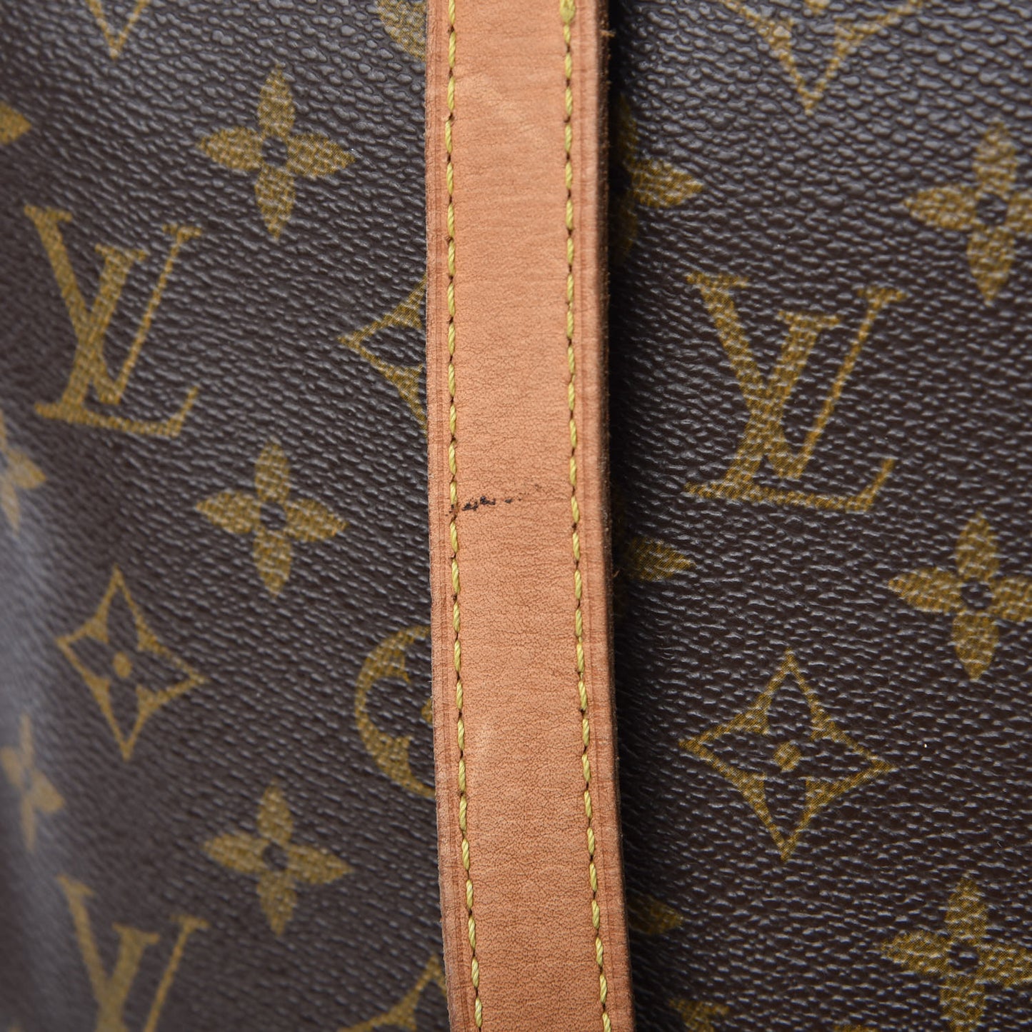 Monogram Cabas Mezzo
