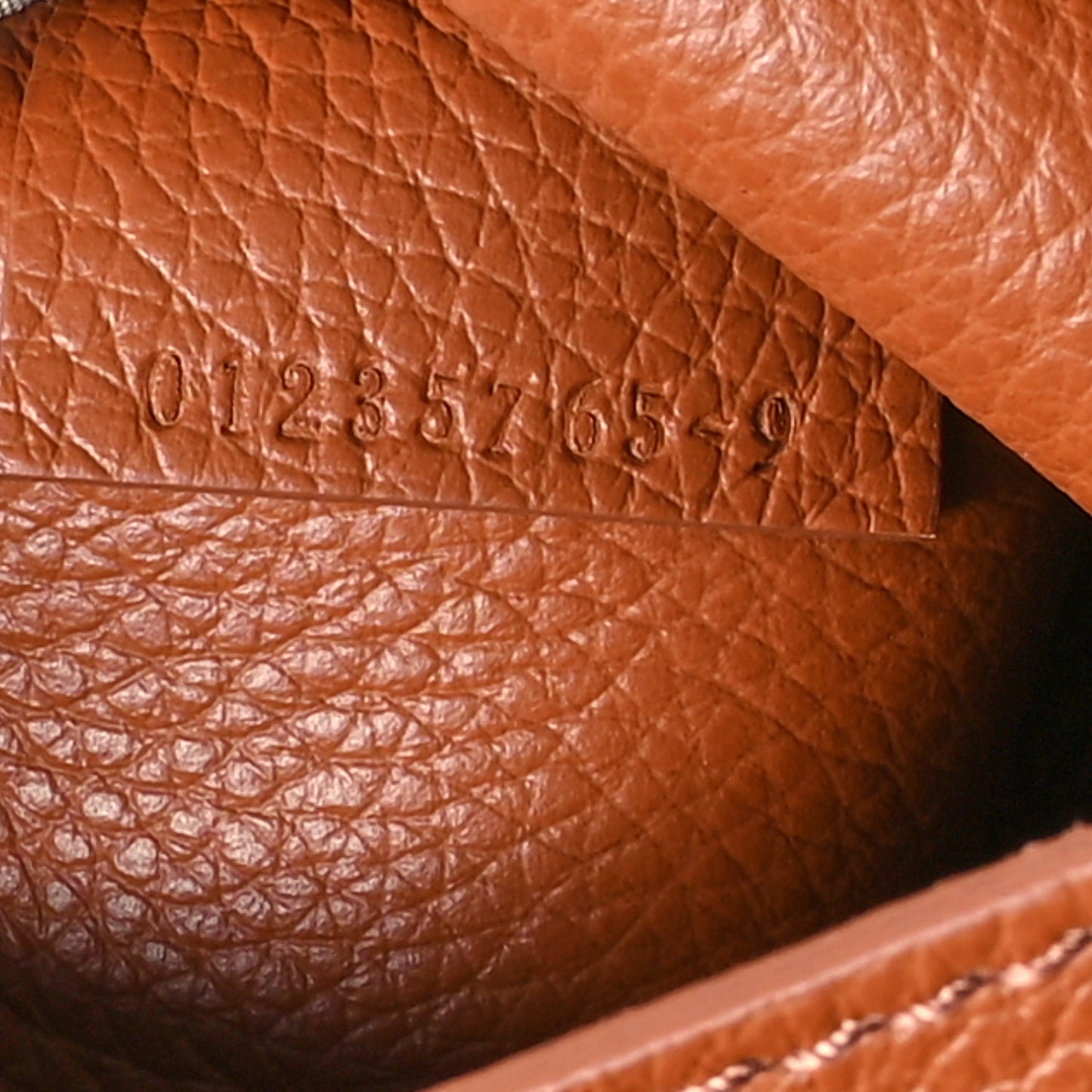 Calfskin Medium East West Sense Tote Tan