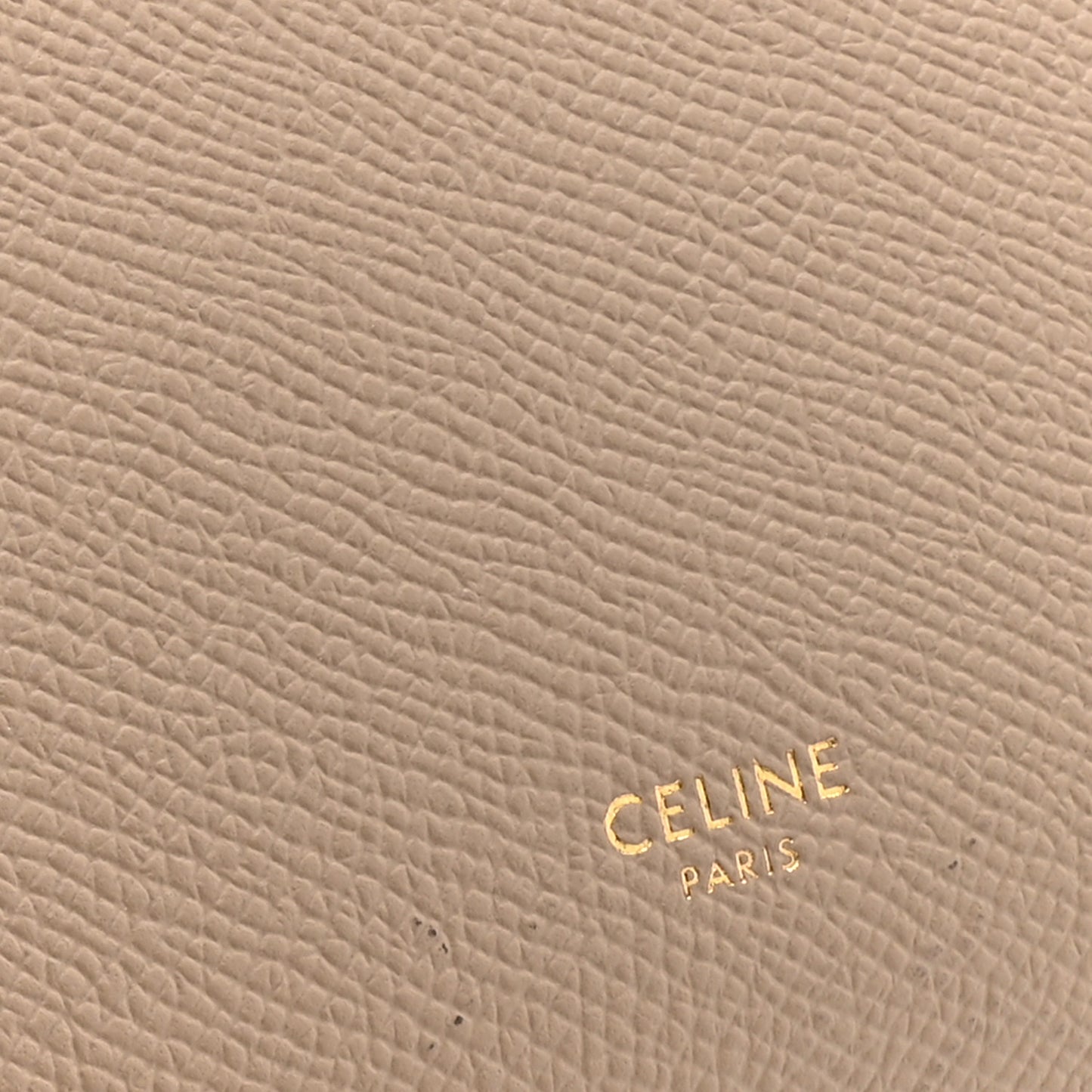 Grained Calfskin Micro Belt Bag Light Taupe
