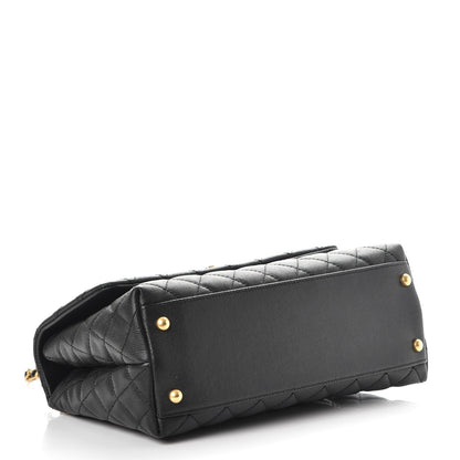Chanel Caviar Lizard Quilted Small Coco Handle Flap Black 4 of 8