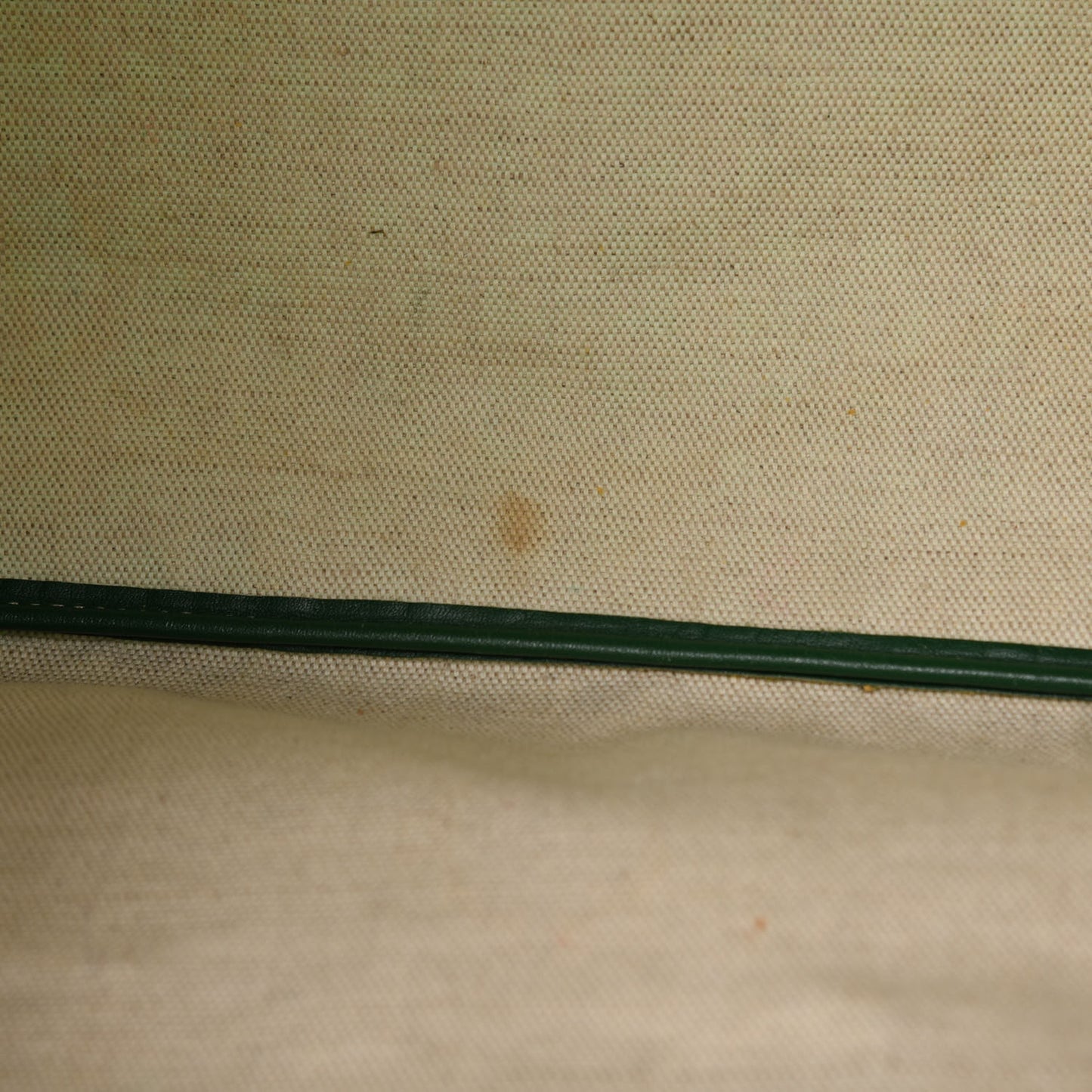 Goyardine Saint Louis PM Green