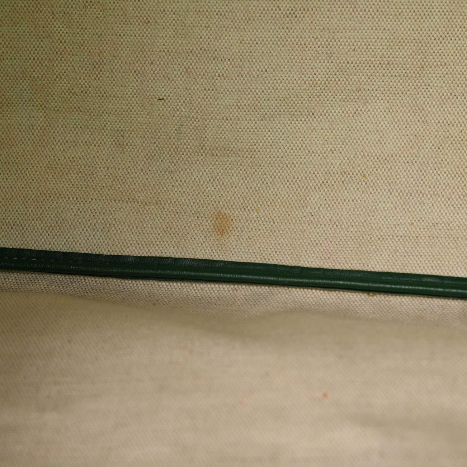 Goyard Goyardine Saint Louis PM Green 6 of 10