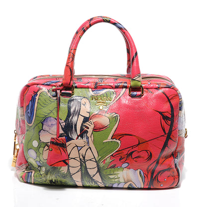 Prada X JAMES JEAN Cervo Lux Fairy Print Medium Boston Bag Peonia 1 of 10