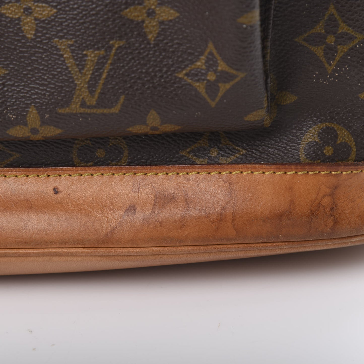 Monogram Montsouris GM Backpack