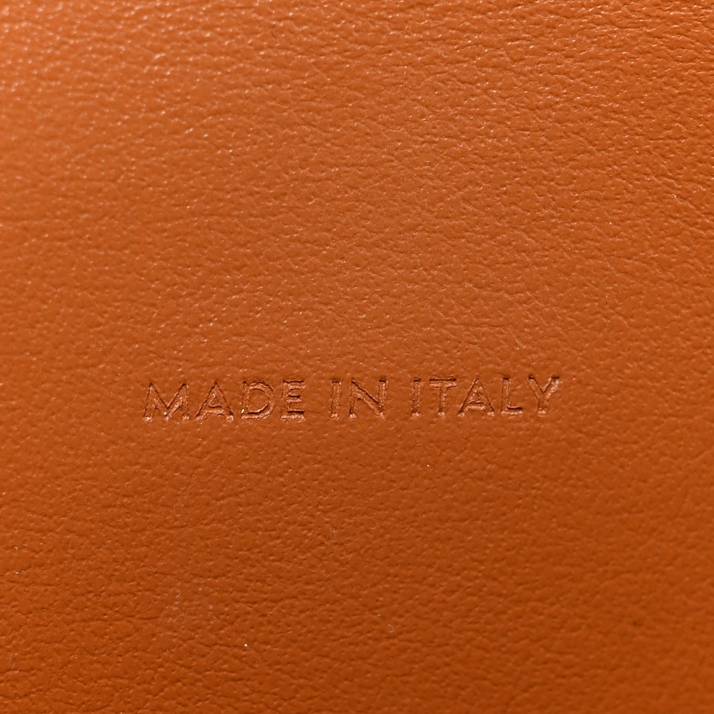 Triomphe Canvas Lambskin Wallet On Strap Tan