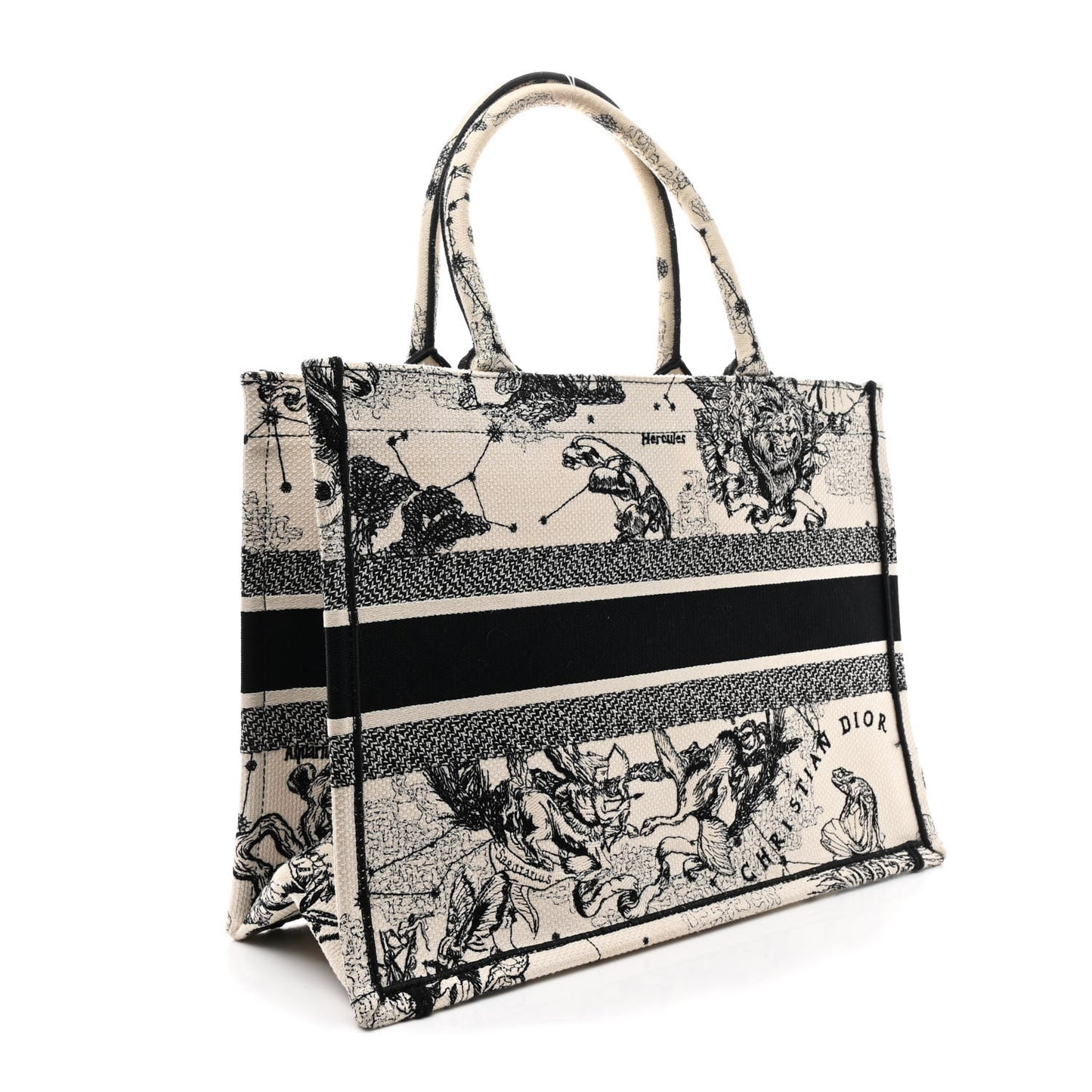 Canvas Zodiac Toile De Jouy Embroidered Medium Book Tote Latte