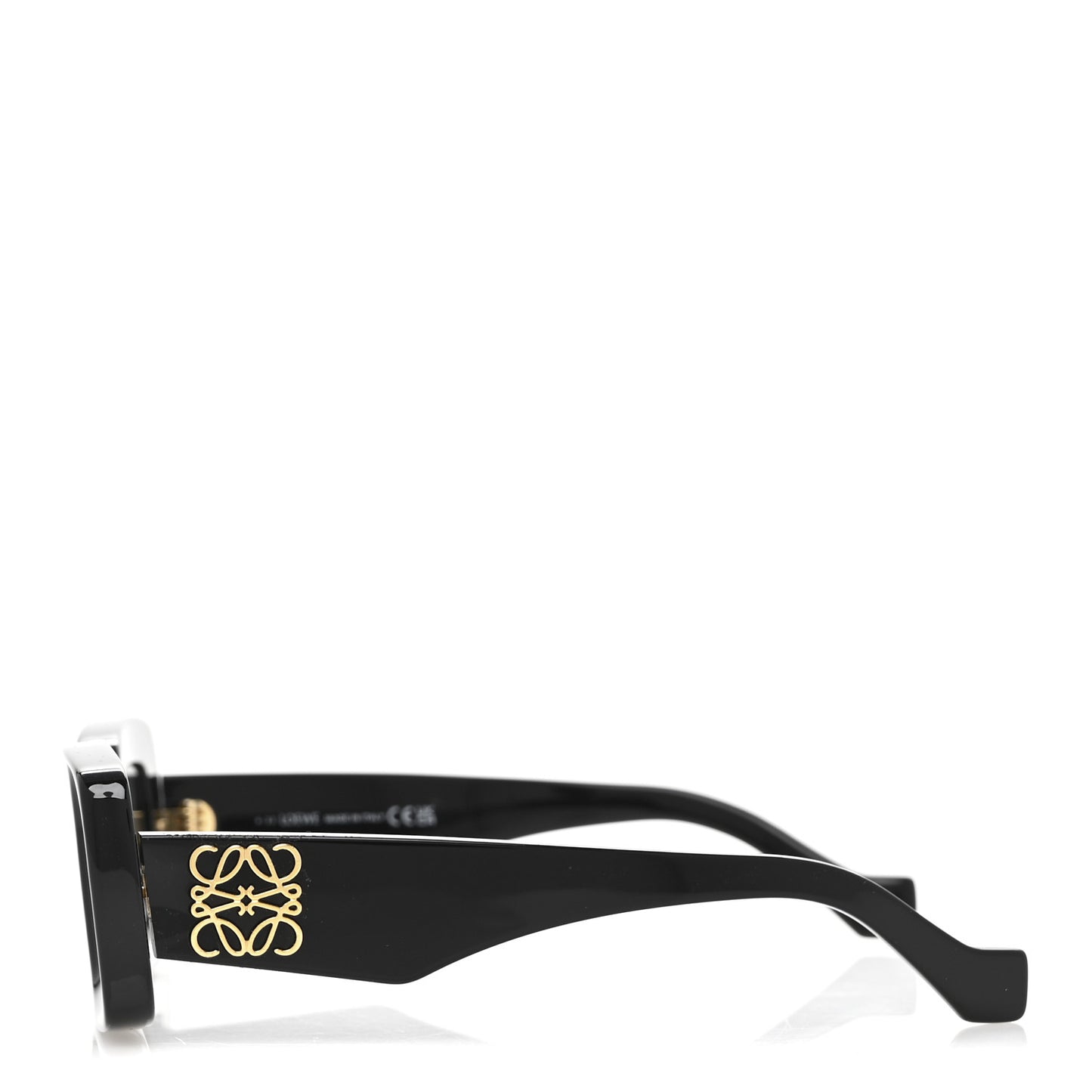 Acetate Rectangular Sunglasses LW40101I Black