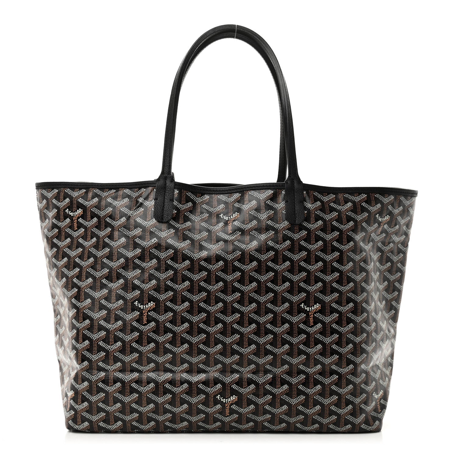 Goyard Goyardine Saint Louis PM Black 1 of 11