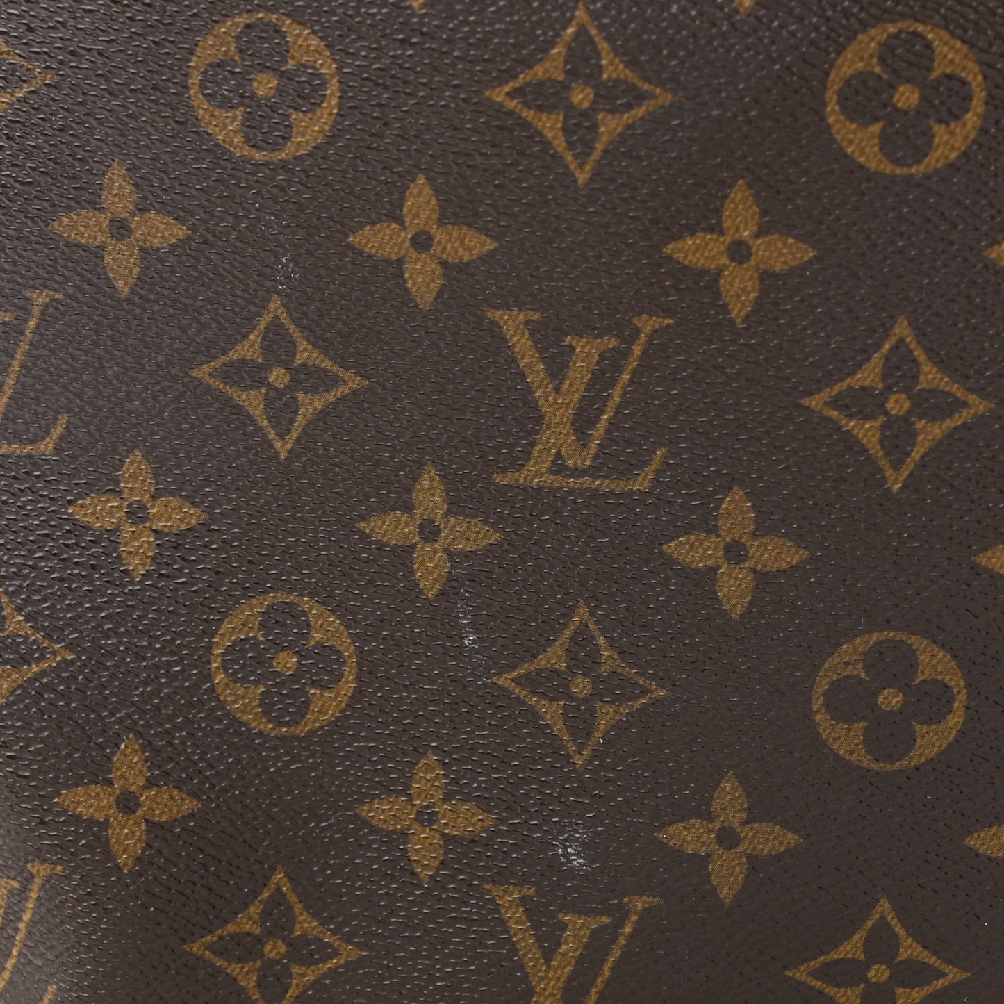 Monogram Sully MM