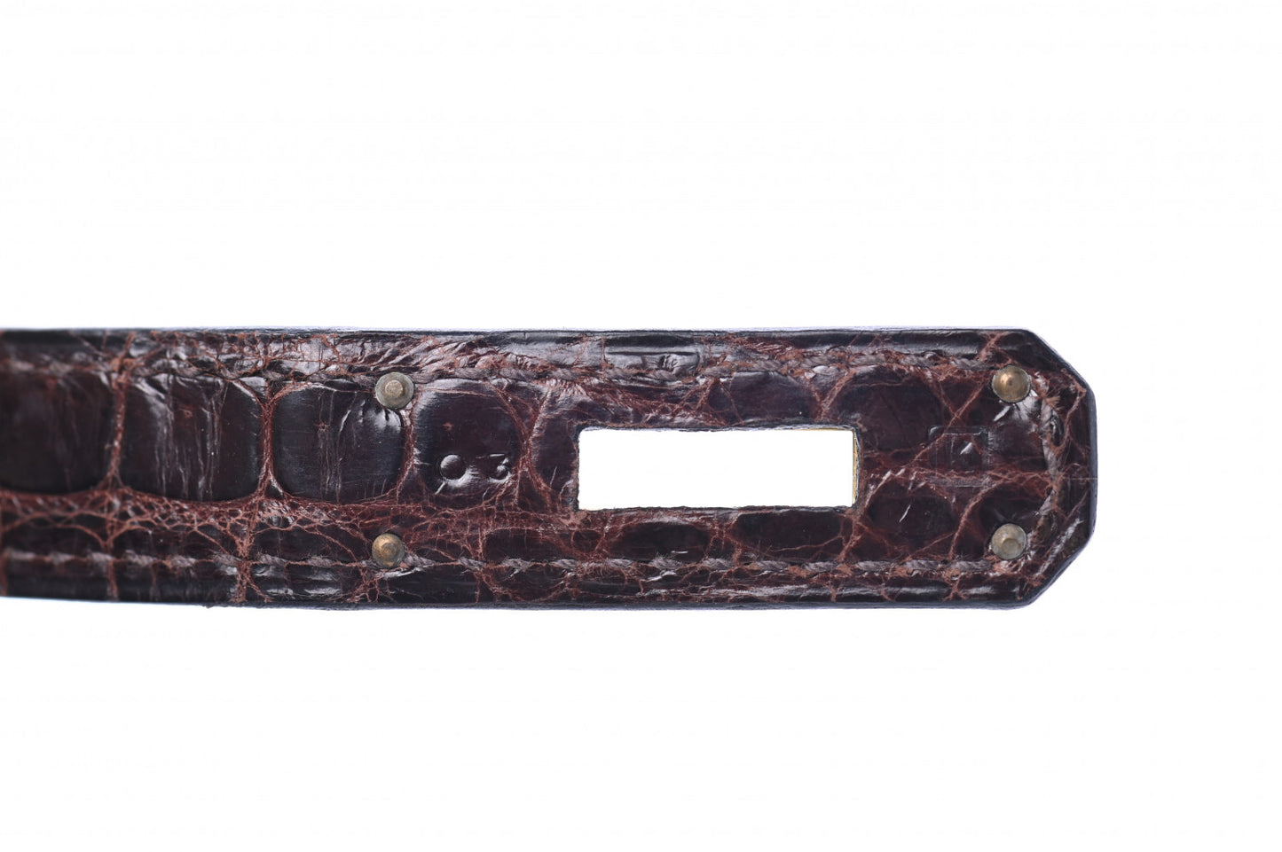 Shiny Porosus Crocodile Birkin 35 Cocoan