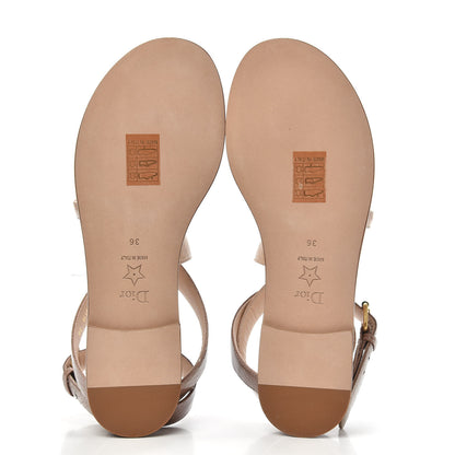 Christian Dior Ayers Degrade Poison-D Sandal 36 Nude 5 of 9