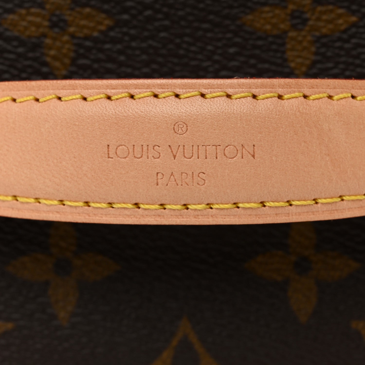 Louis Vuitton Monogram Nice Mini 7 of 7