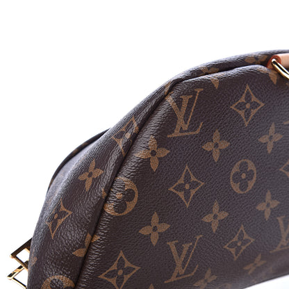 Louis Vuitton Monogram Bumbag 8 of 10
