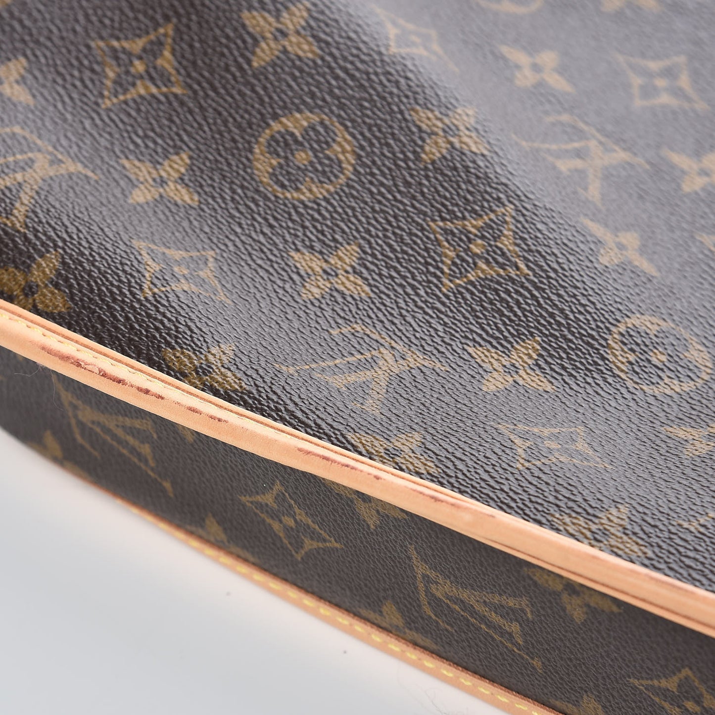 Monogram Garment Bag