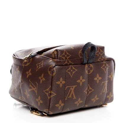 Louis Vuitton Monogram Palm Springs Backpack Mini 4 of 7