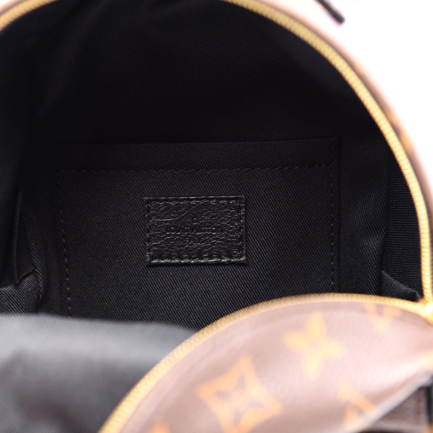 Monogram Palm Springs Backpack Mini