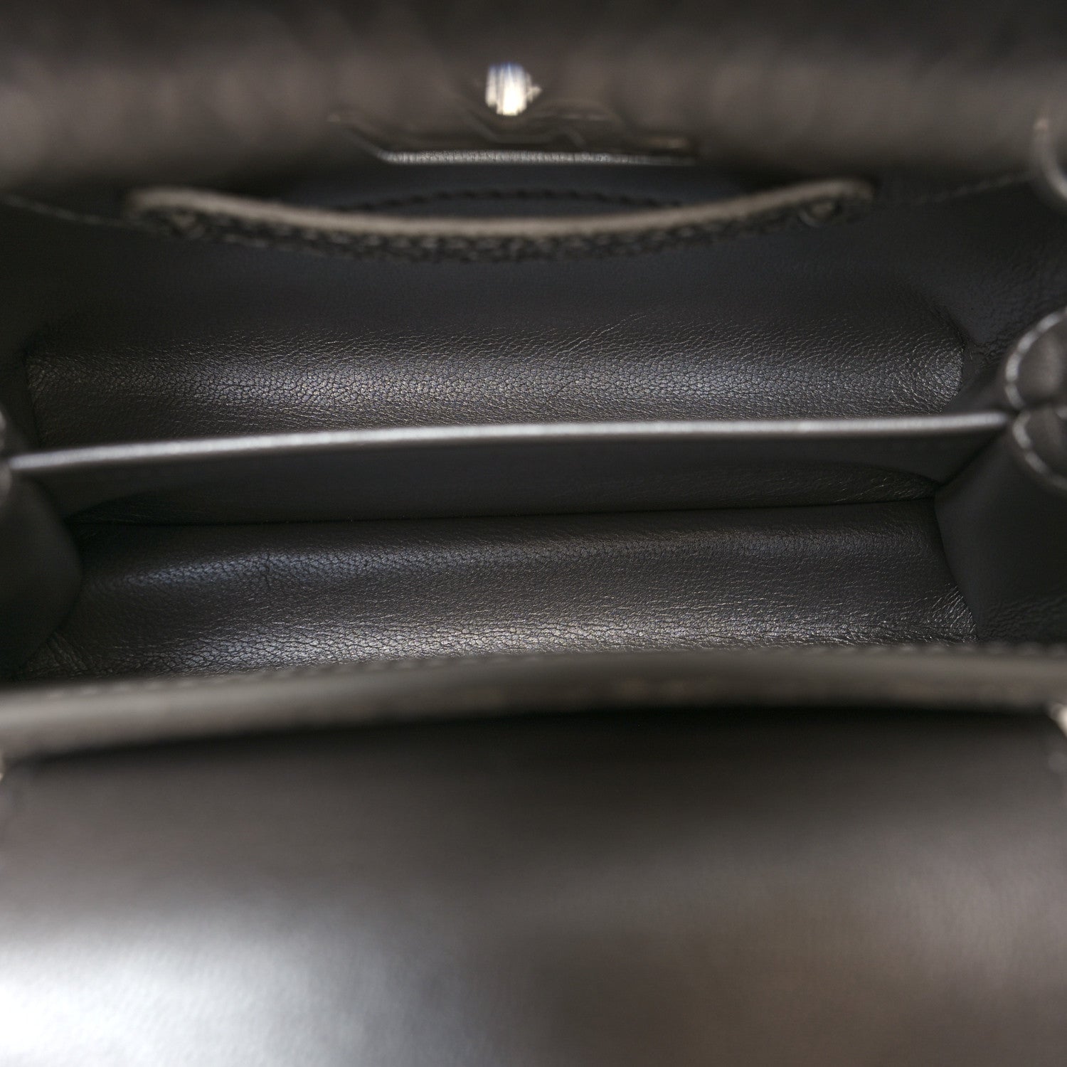 Louis Vuitton Lizard Mini Capucines Argento 5 of 9