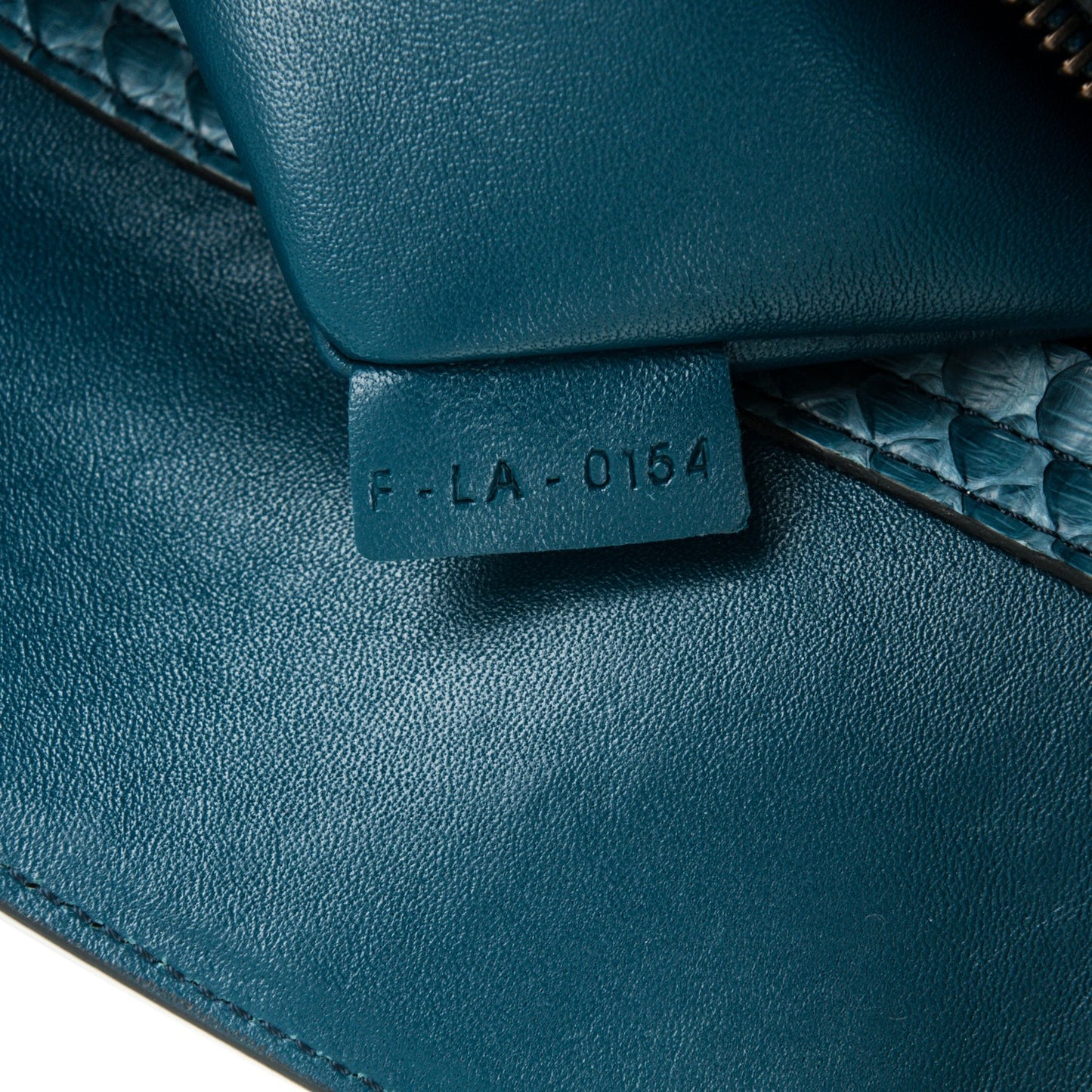 Python Medium Phantom Luggage Blue