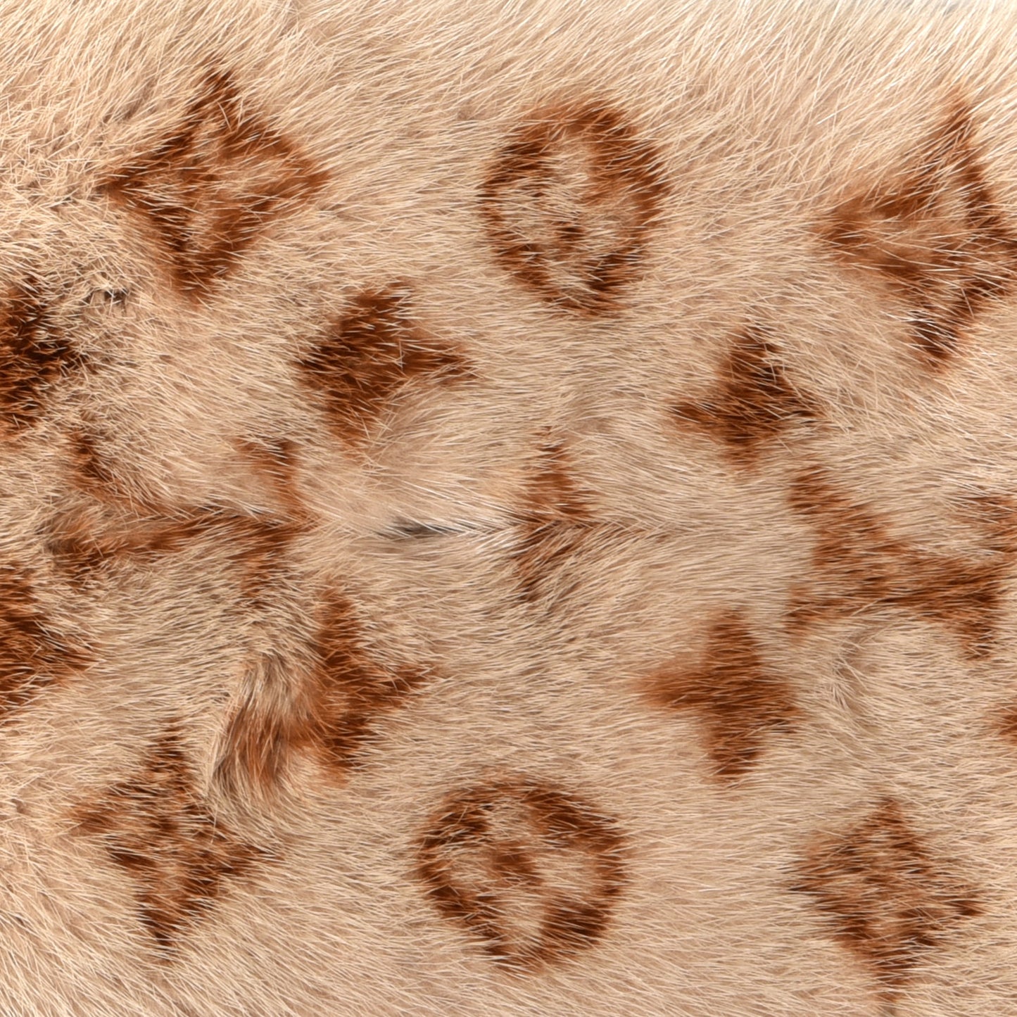 Monogram Mink Fur Stole Beige