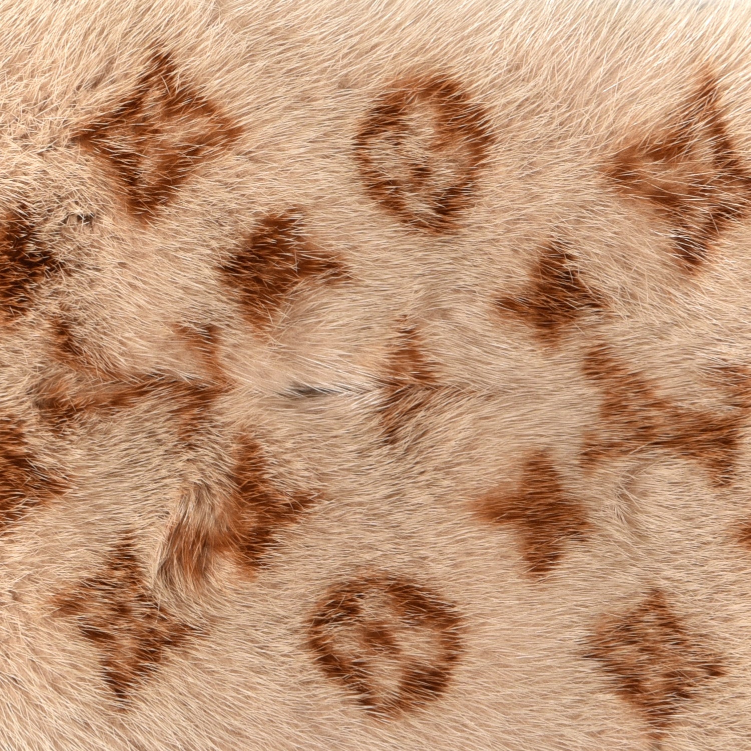Louis Vuitton Monogram Mink Fur Stole Beige 3 of 4