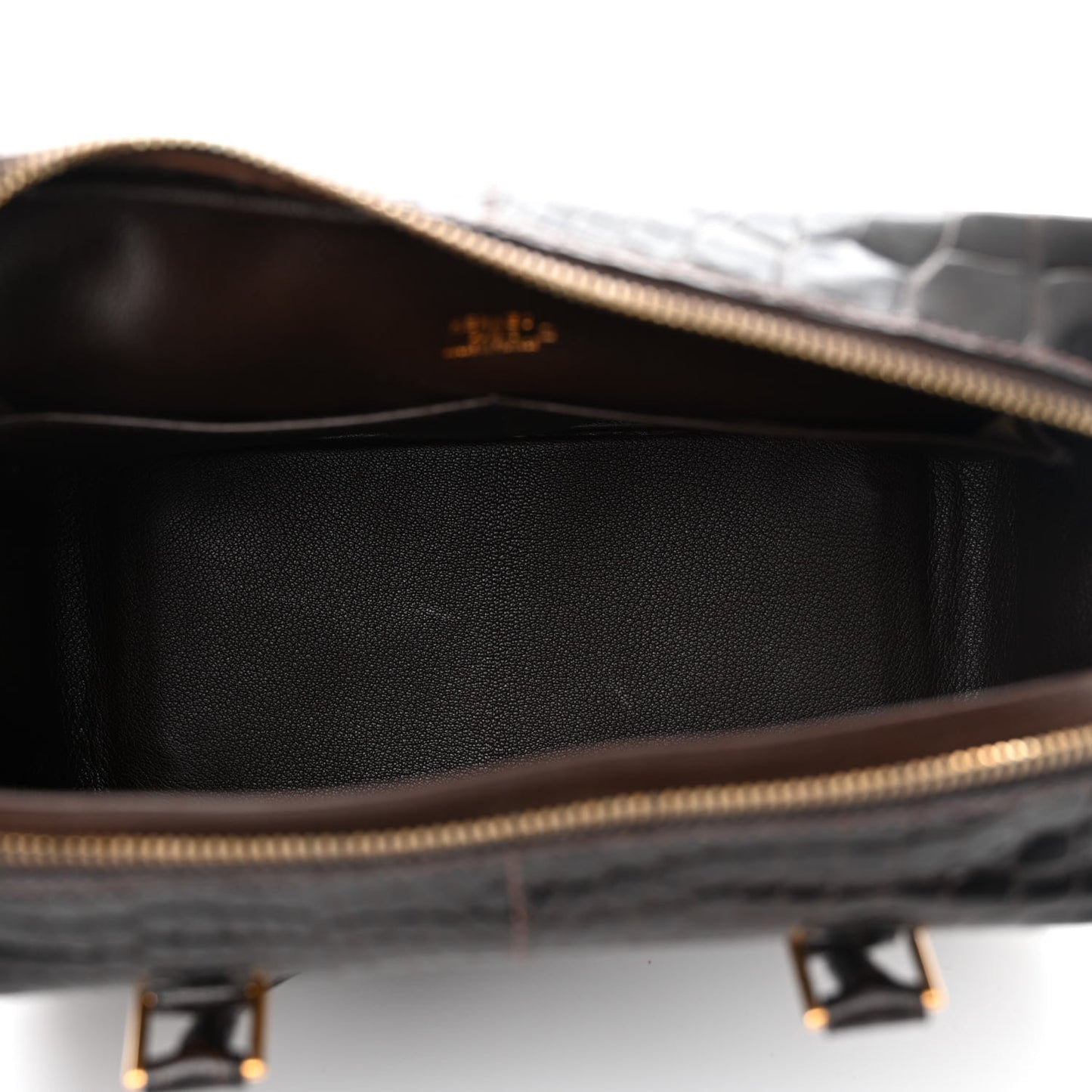 Shiny Alligator Plume 28 Ebene