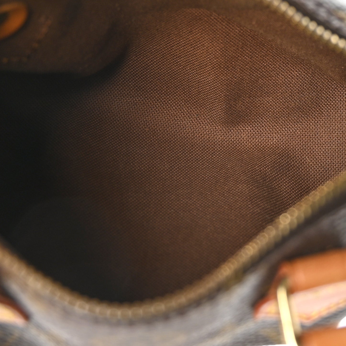 Monogram Mini Sac HL Speedy