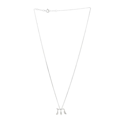 Tiffany Sterling Silver Elsa Peretti Letter M Pendant Necklace 2 of 5