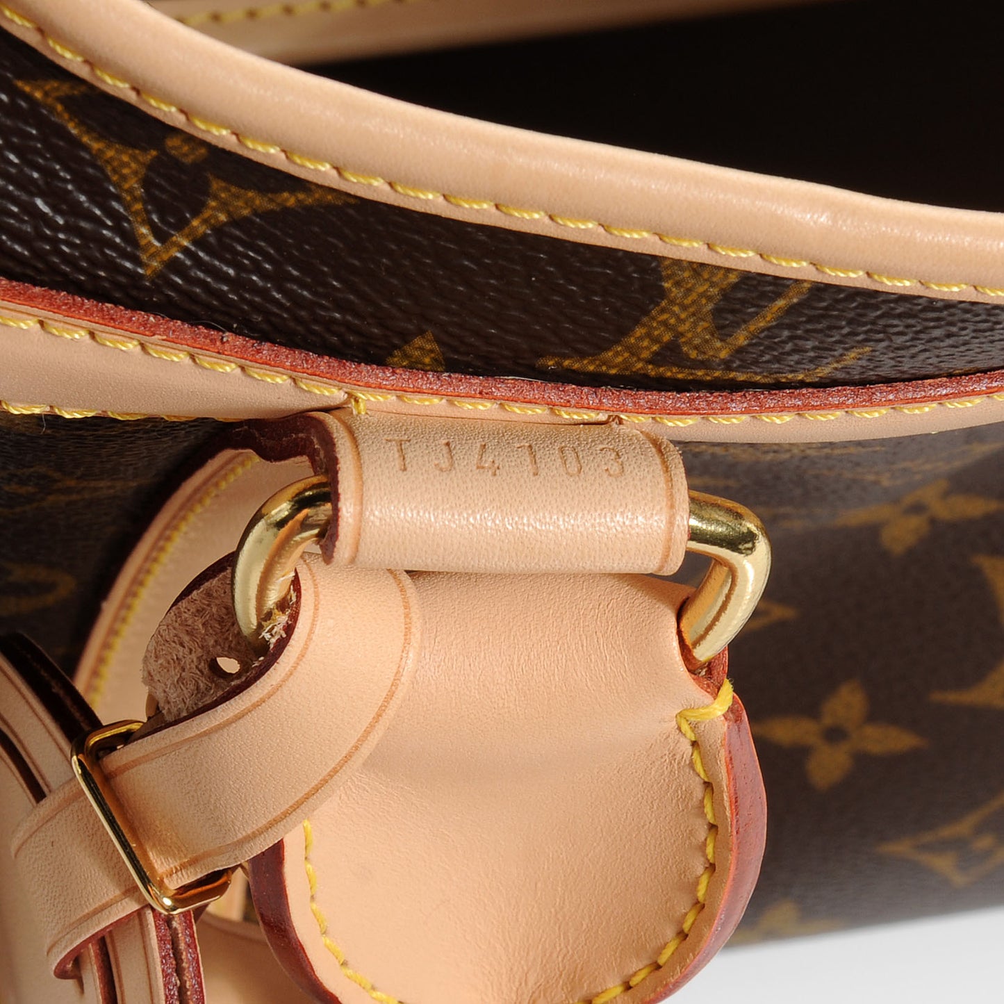 Monogram Sac Chien 40 Pet Carrier