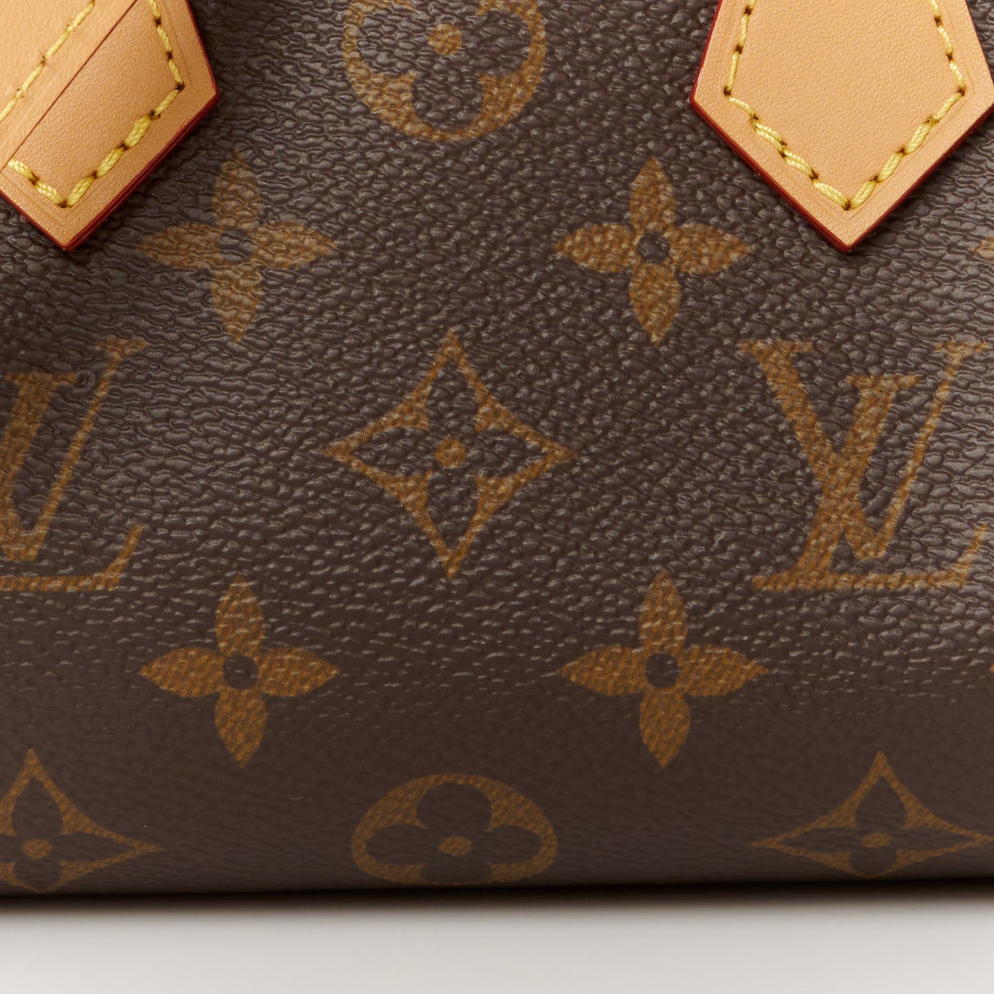 Monogram Nano Speedy Bandouliere