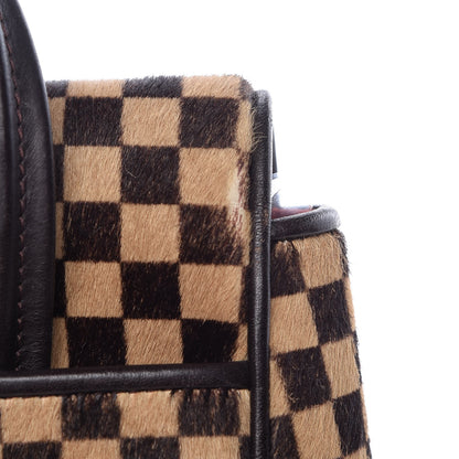 Louis Vuitton Damier Calf Hair Sauvage Lionne 16 of 16