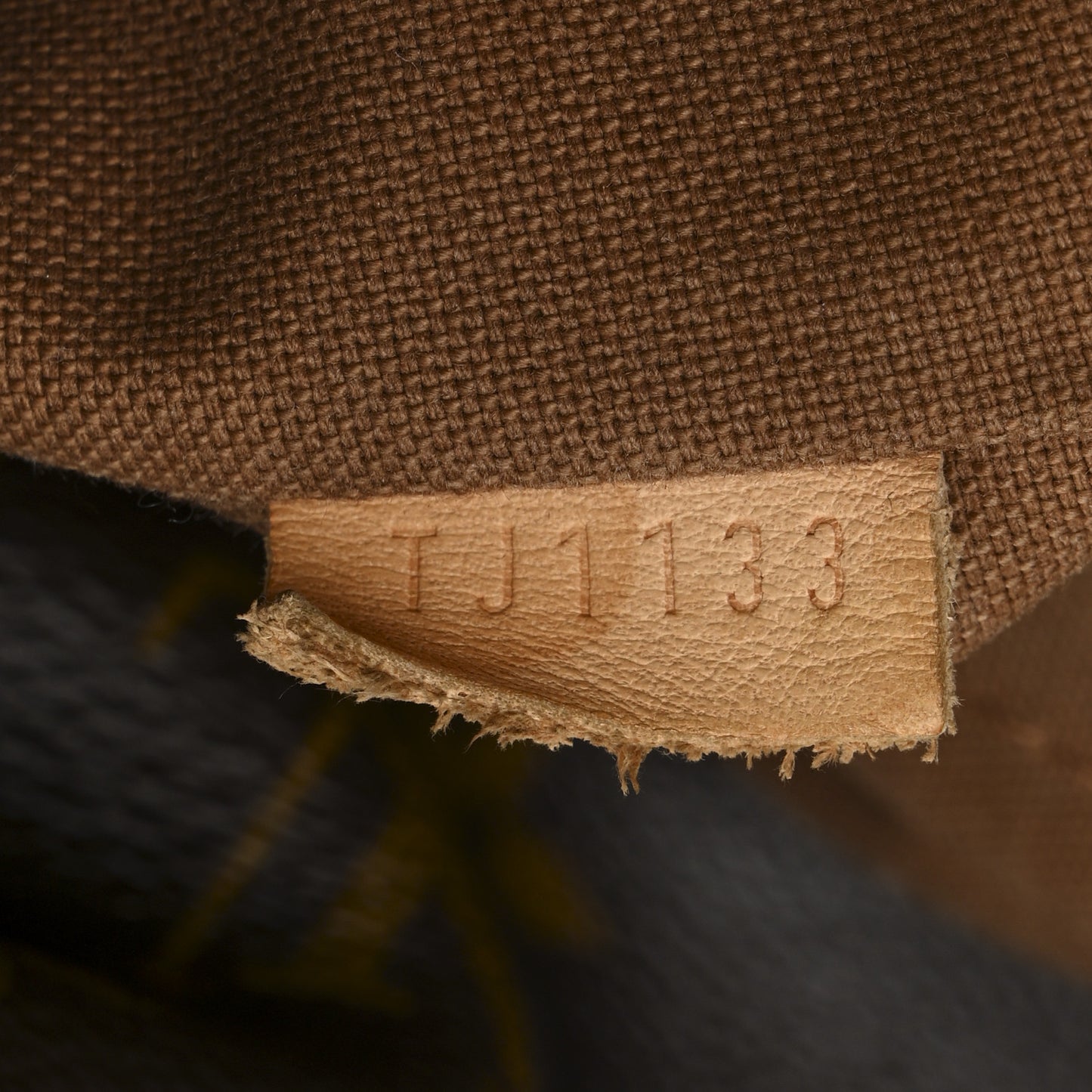 Monogram Sully MM