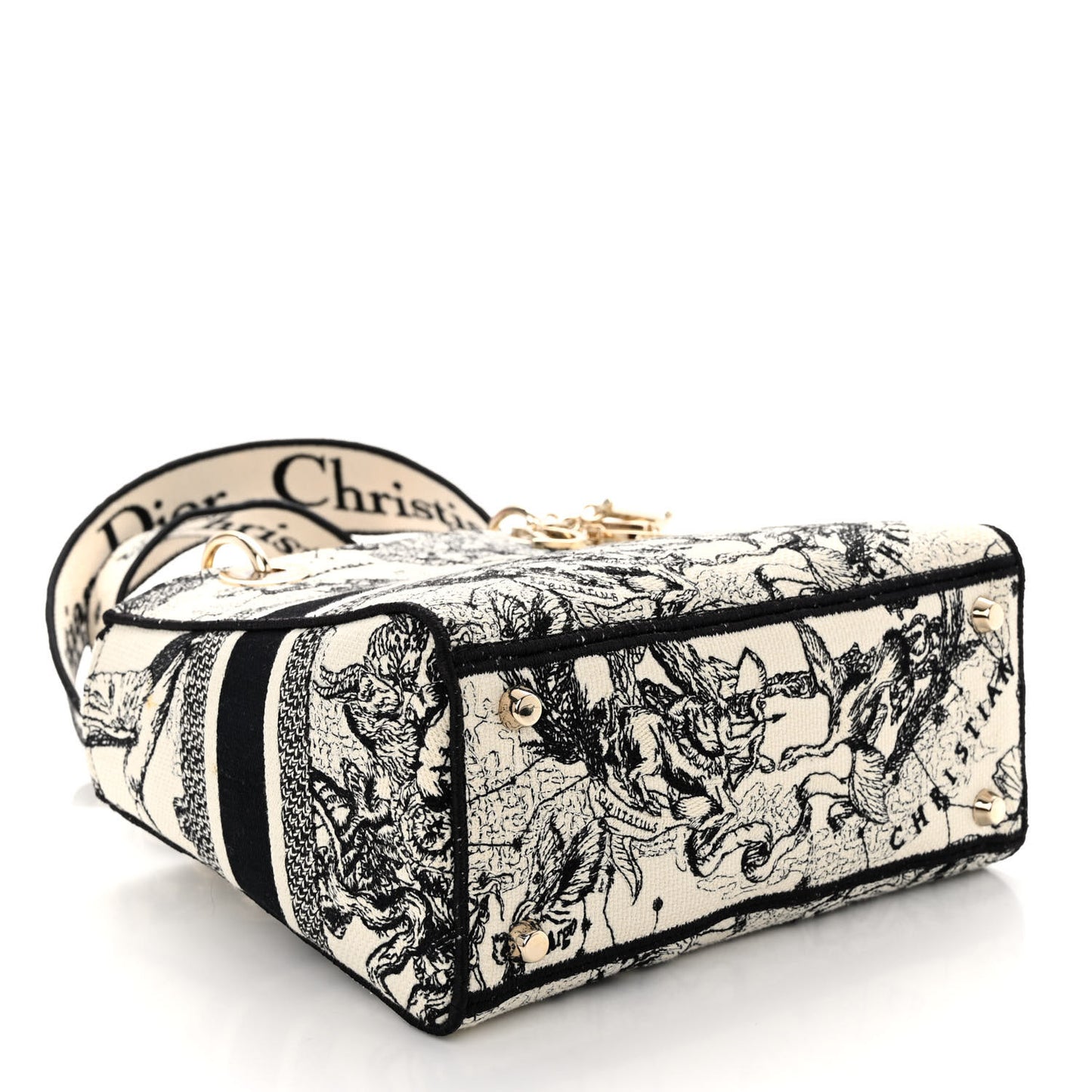 Canvas Embroidered Zodiac Toile De Jouy Medium Lady D-Lite Latte