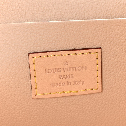 Louis Vuitton Monogram Nice Mini 6 of 11