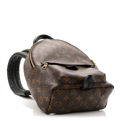 Louis Vuitton Monogram Palm Springs Backpack PM 4 of 12