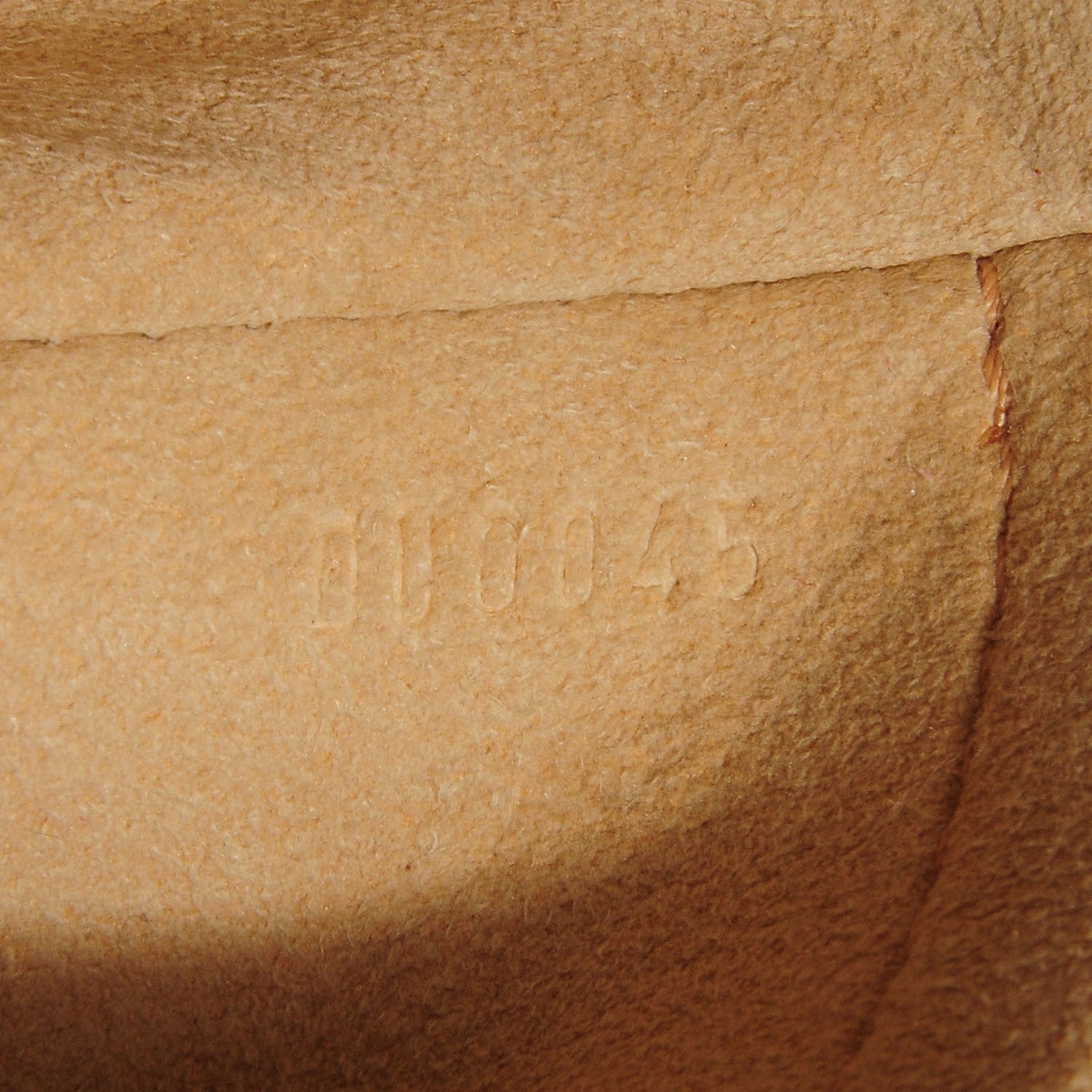 Louis Vuitton Monogram Hudson PM 6 of 7