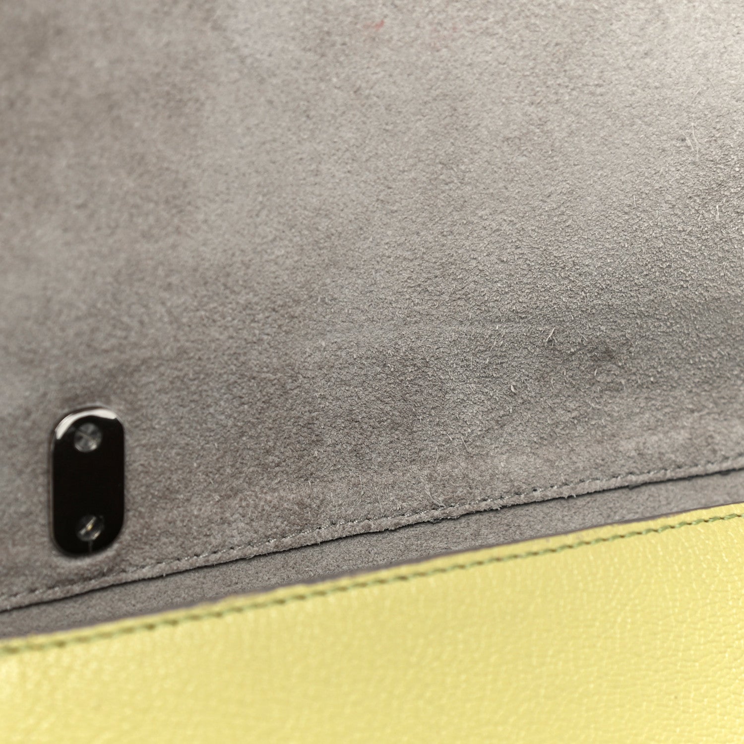 Mulberry Glossy Goatskin Small Lily Flap Pistachio 13 of 22