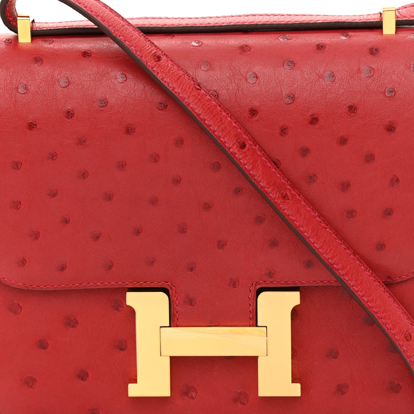 Ostrich Constance 18 Rouge Vif