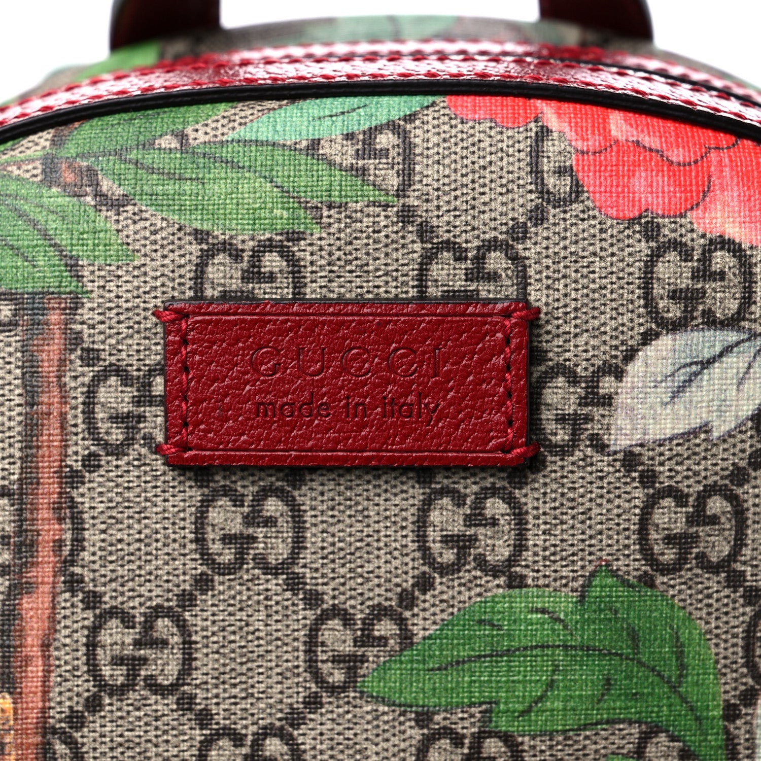 Gucci GG Supreme Monogram Tian Web Small Day Backpack Beige Multicolor Red 10 of 10