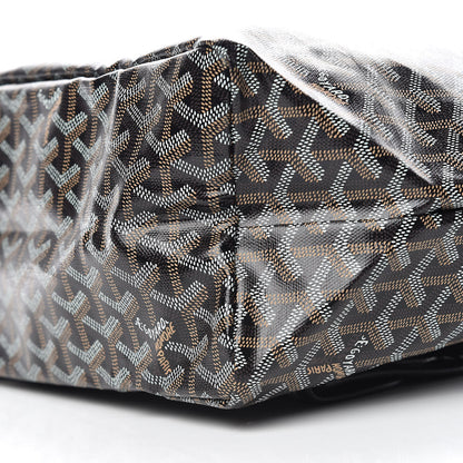 Goyard Goyardine Saint Louis PM Black 7 of 11