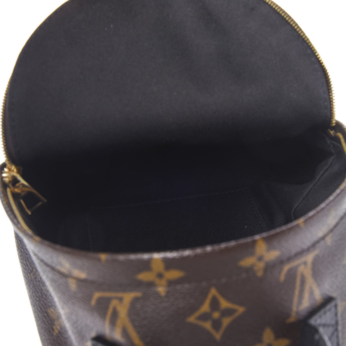 Monogram Palm Springs Backpack Mini