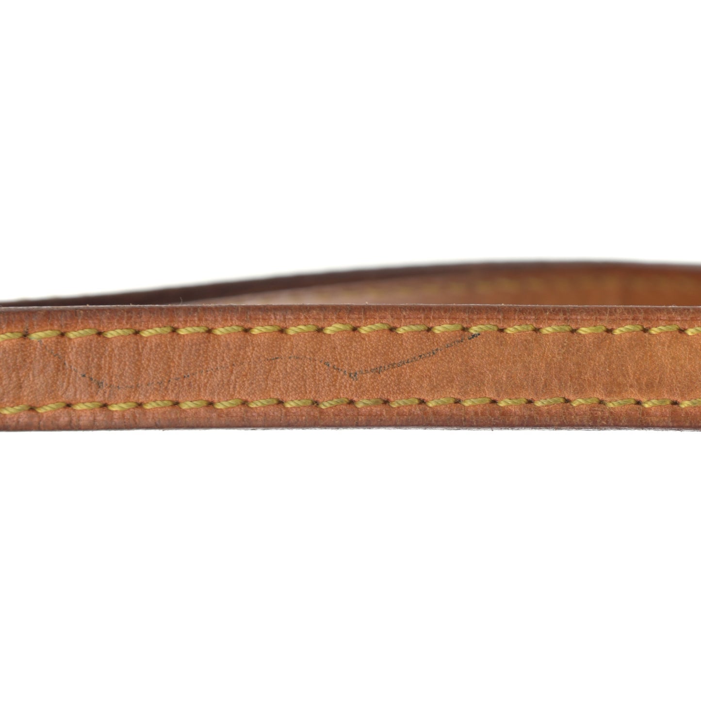 Monogram Papillon 30 With Companion
