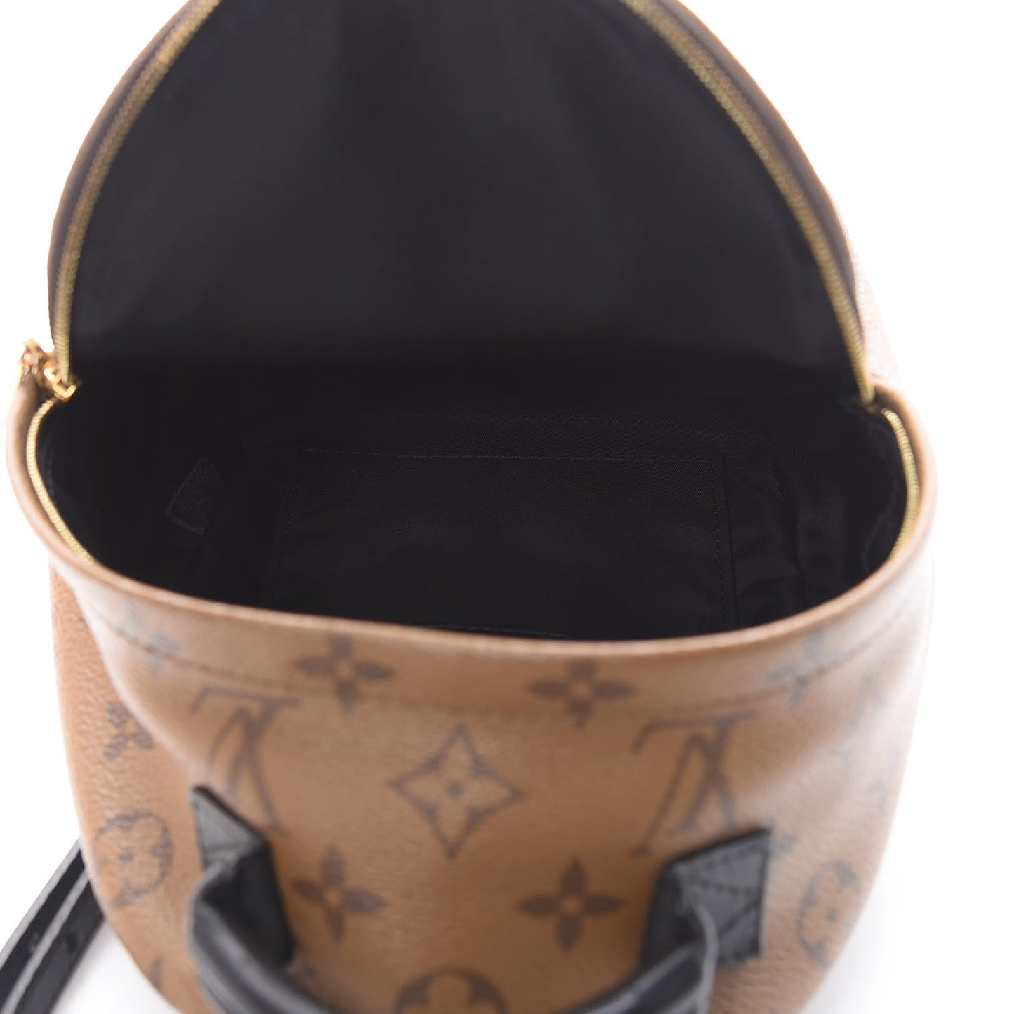 Reverse Monogram Palm Springs Backpack Mini