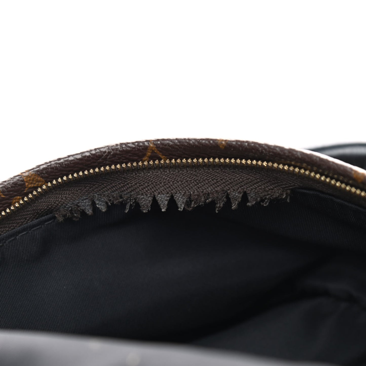 Monogram Palm Springs Backpack Mini