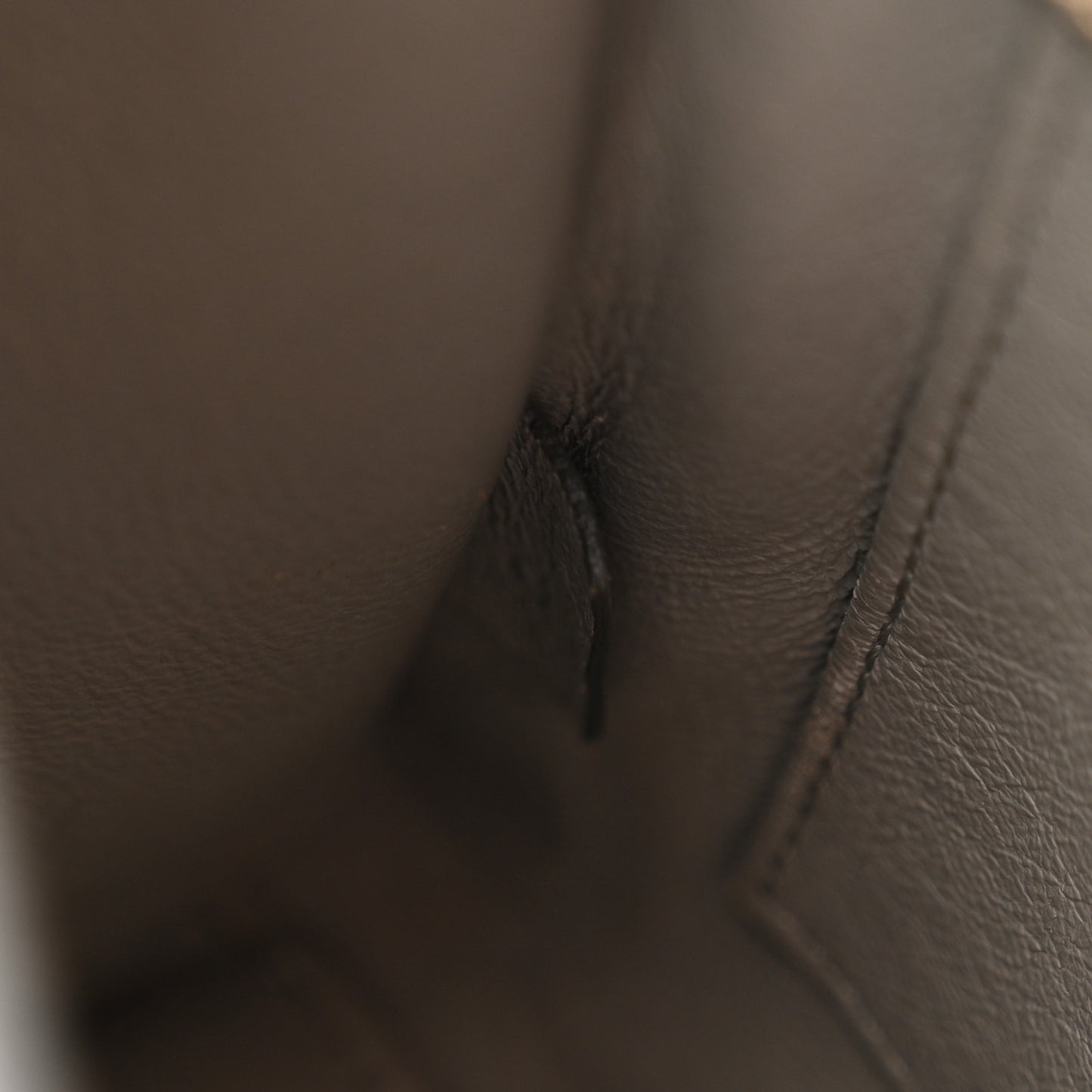 Snakeskin Nano Luggage Grey