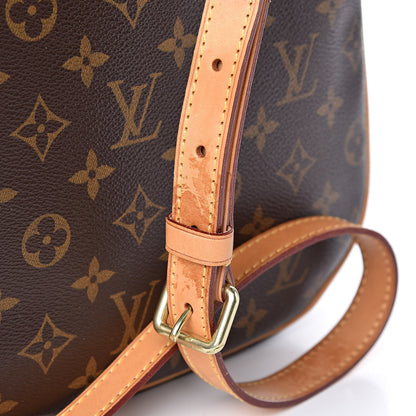 Louis Vuitton Monogram Odeon PM 11 of 14