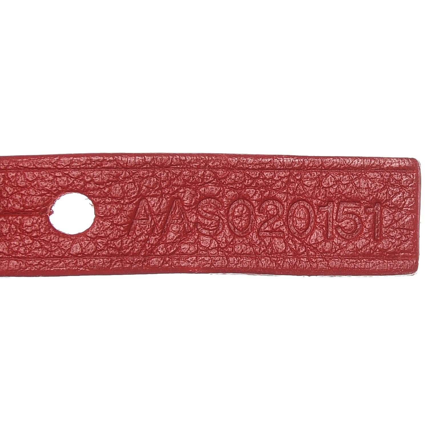 Goyard Goyardine Saint Louis PM Red 8 of 12