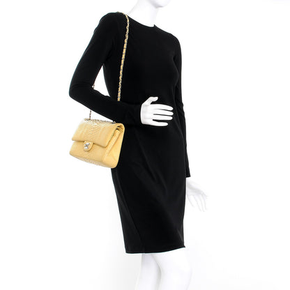 Chanel Python Medium Double Flap Yellow 2 of 14