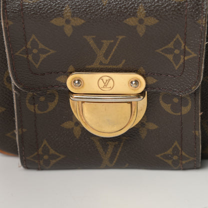 Louis Vuitton Monogram Hudson GM 20 of 22